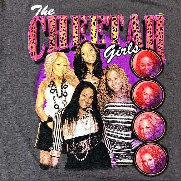 Gray T-Shirt Y2K Disney Channel Cheetah Adult Size L/XL Disney Channel Movie - Picture 2 of 3